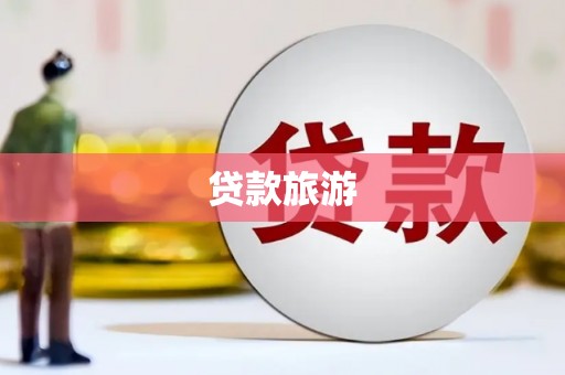 田林贷款旅游