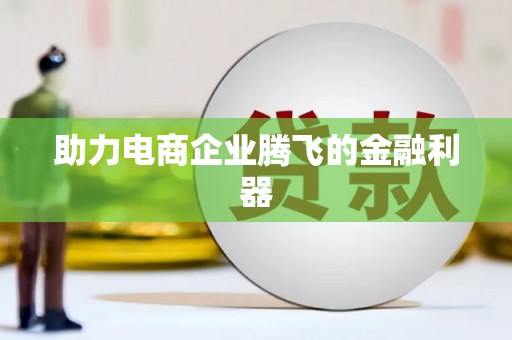 田林助力电商企业腾飞的金融利器