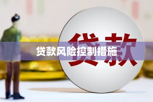 田林贷款风险控制措施