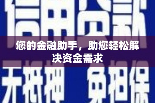 田林您的金融助手，助您轻松解决资金需求