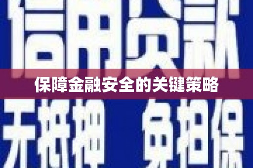 田林保障金融安全的关键策略