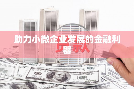 田林助力小微企业发展的金融利器