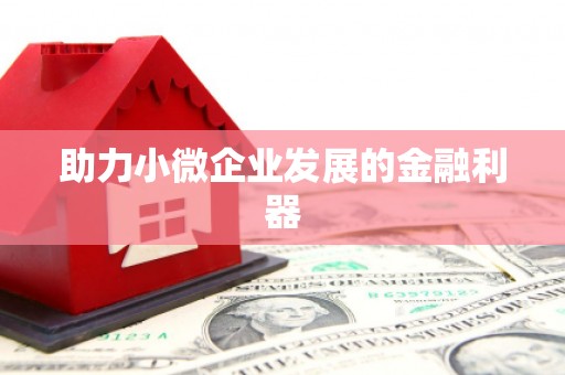 田林助力小微企业发展的金融利器