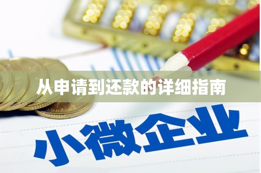 田林从申请到还款的详细指南