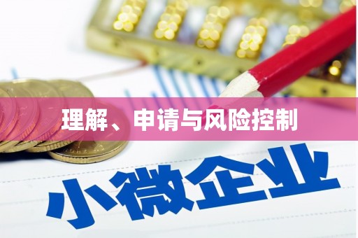 田林理解、申请与风险控制