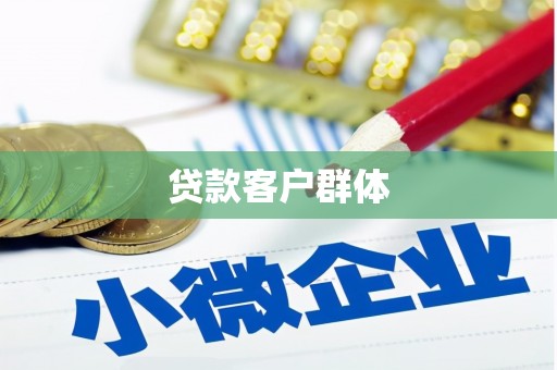 田林贷款客户群体
