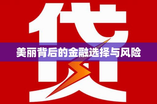 田林美丽背后的金融选择与风险