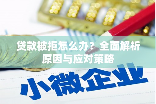 田林贷款被拒怎么办？全面解析原因与应对策略