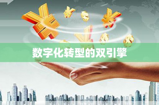 田林数字化转型的双引擎