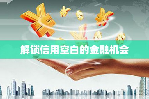 田林解锁信用空白的金融机会