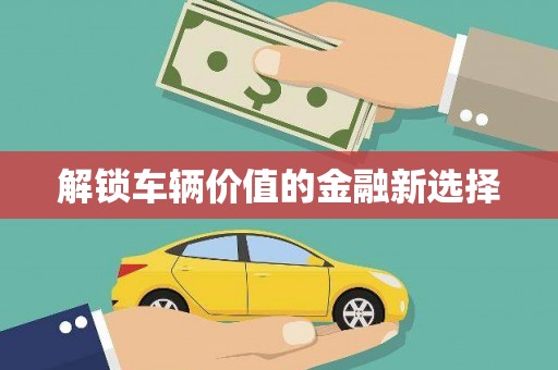 田林解锁车辆价值的金融新选择