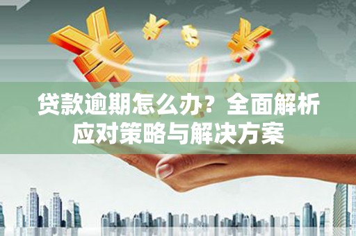 田林贷款逾期怎么办？全面解析应对策略与解决方案