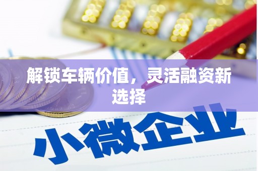 田林解锁车辆价值，灵活融资新选择