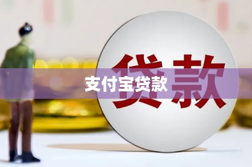田林支付宝贷款