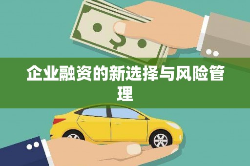 田林企业融资的新选择与风险管理