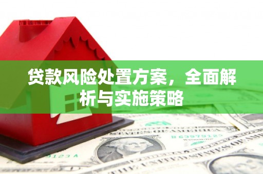 田林贷款风险处置方案，全面解析与实施策略