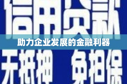 田林助力企业发展的金融利器