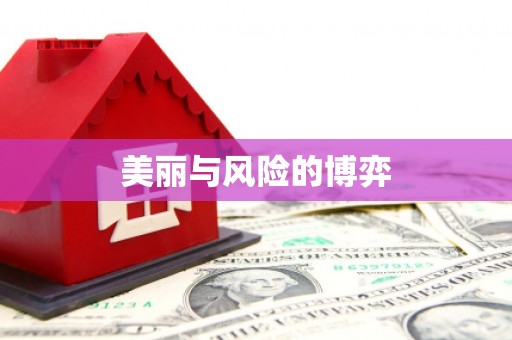 田林美丽与风险的博弈