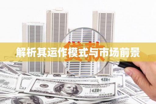 田林解析其运作模式与市场前景