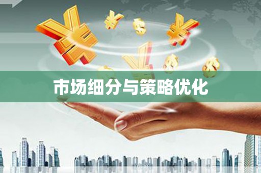 田林市场细分与策略优化