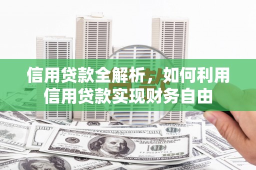 田林信用贷款全解析，如何利用信用贷款实现财务自由