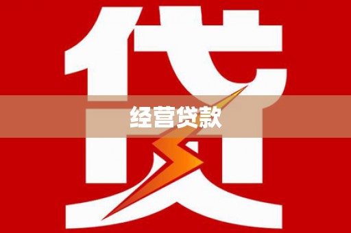 田林经营贷款