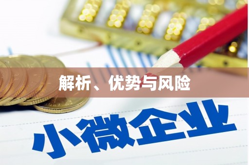 田林解析、优势与风险