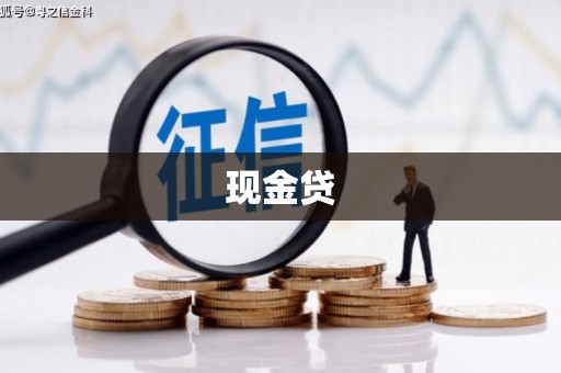 田林现金贷
