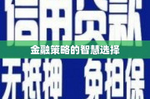 田林金融策略的智慧选择