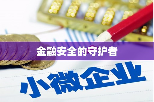 田林金融安全的守护者