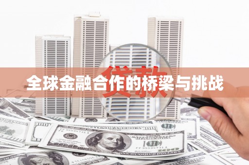 田林全球金融合作的桥梁与挑战