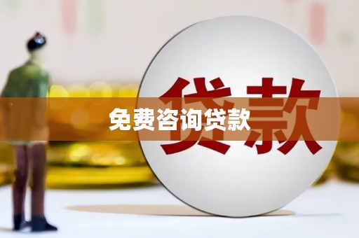 田林免费咨询贷款
