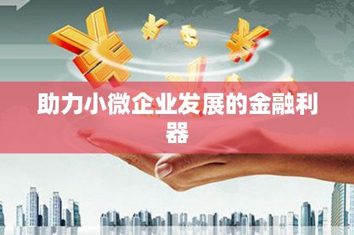 田林助力小微企业发展的金融利器
