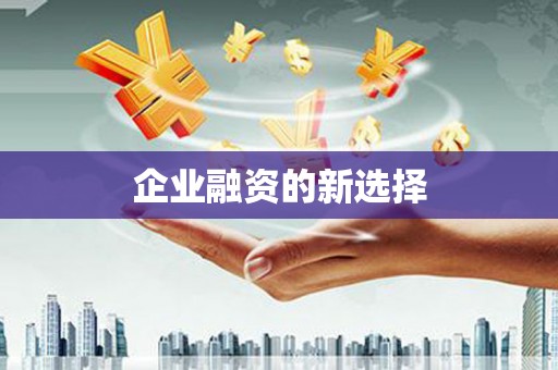 田林企业融资的新选择