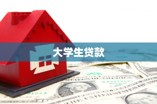 田林大学生贷款