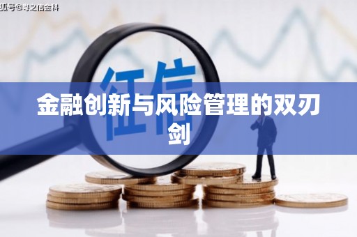 田林金融创新与风险管理的双刃剑