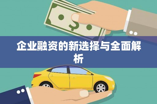 田林企业融资的新选择与全面解析