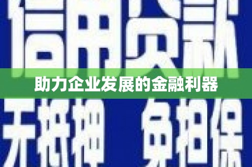田林助力企业发展的金融利器