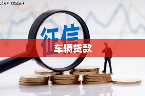 田林车辆贷款