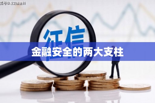 田林金融安全的两大支柱