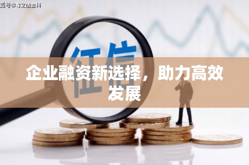 田林企业融资新选择，助力高效发展