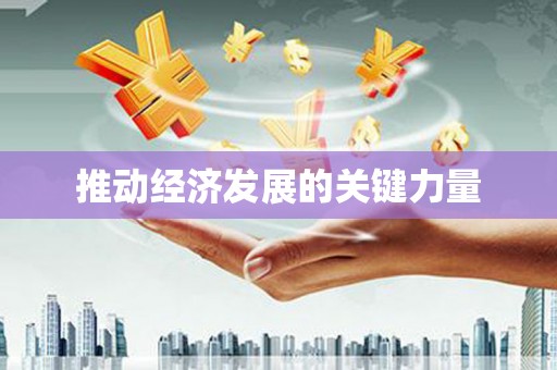 田林推动经济发展的关键力量