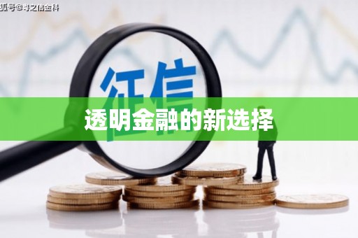 田林透明金融的新选择