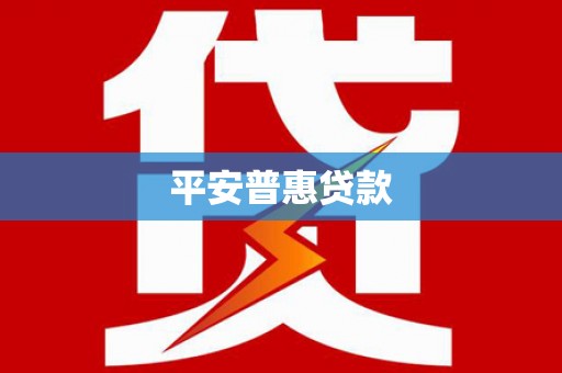 田林平安普惠贷款