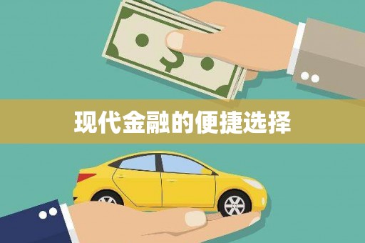 田林现代金融的便捷选择