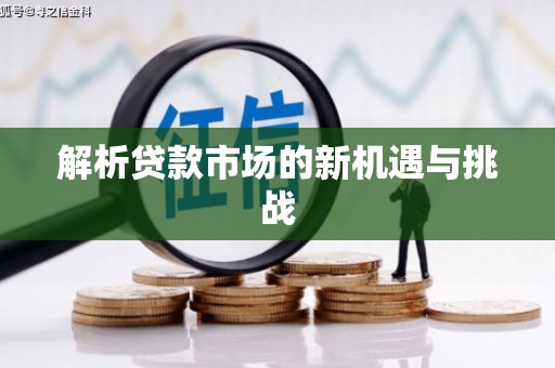 田林解析贷款市场的新机遇与挑战