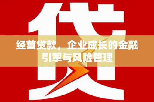 田林经营贷款，企业成长的金融引擎与风险管理