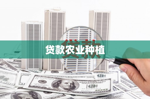 田林贷款农业种植