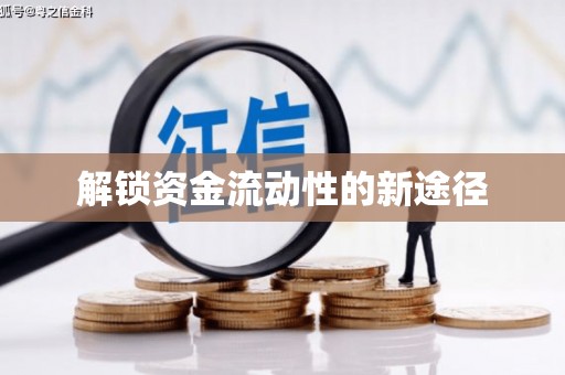 田林解锁资金流动性的新途径