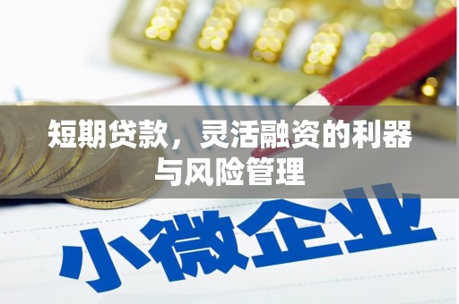 田林短期贷款，灵活融资的利器与风险管理